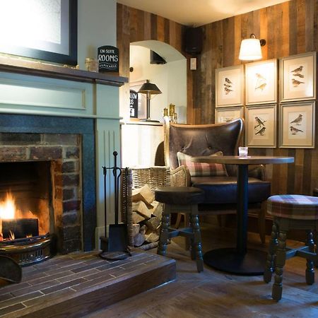 Red Lion Inn Little Budworth Exteriér fotografie